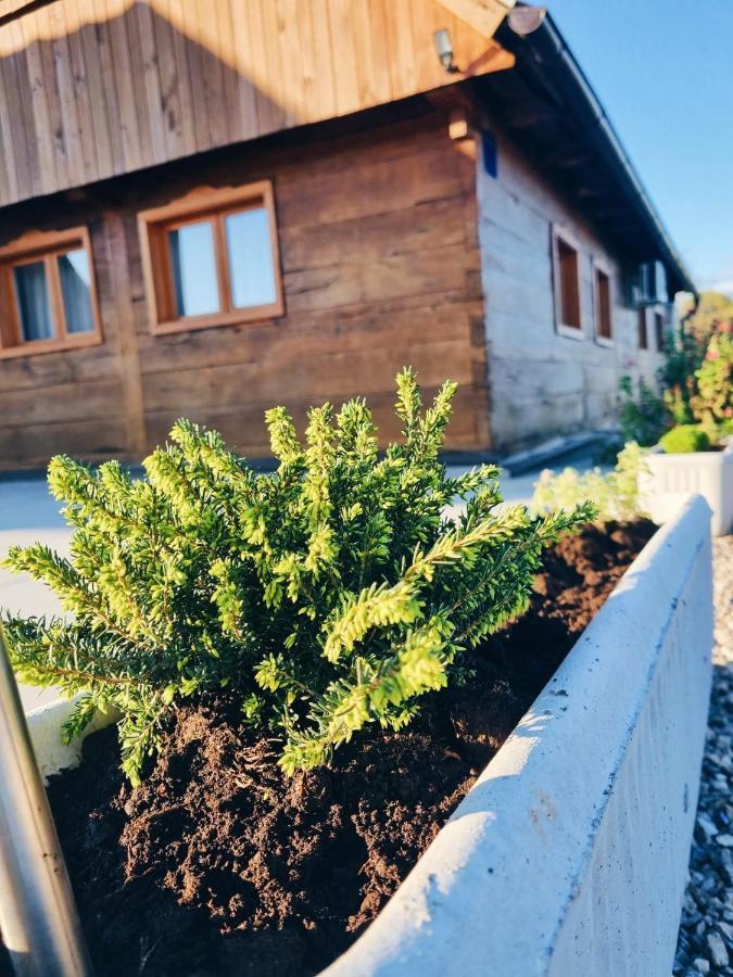 Gasthaus Ruralna Kuca Za Odmor Kablarovo Brdo Krnjak Exterior foto