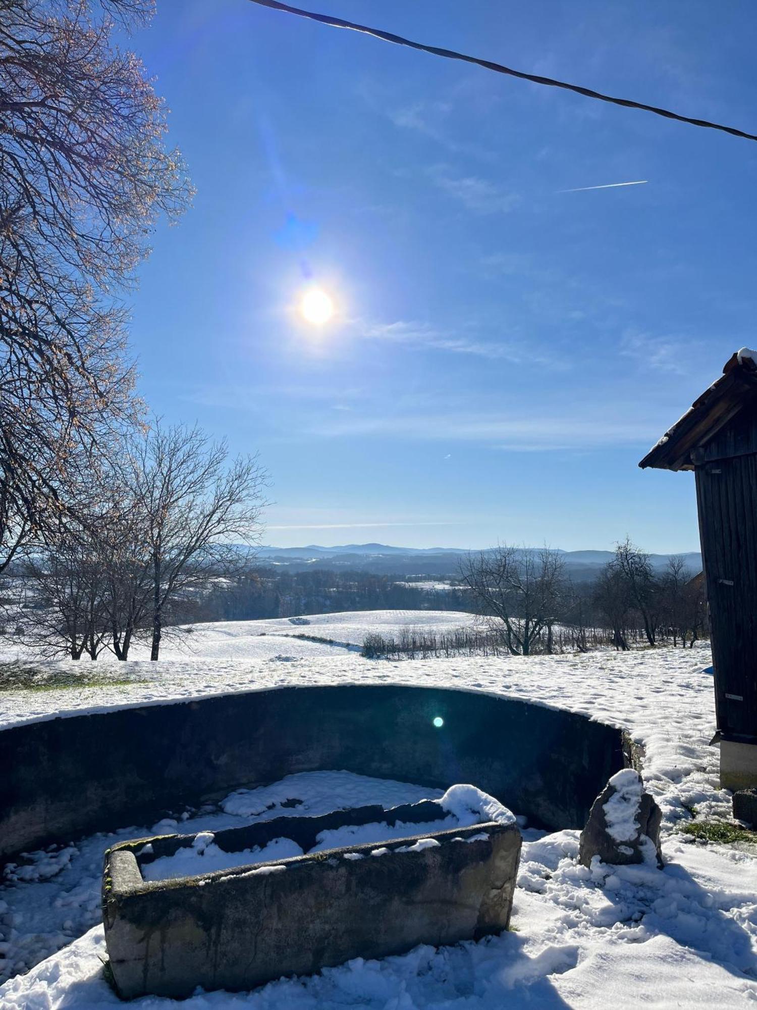 Gasthaus Ruralna Kuca Za Odmor Kablarovo Brdo Krnjak Exterior foto